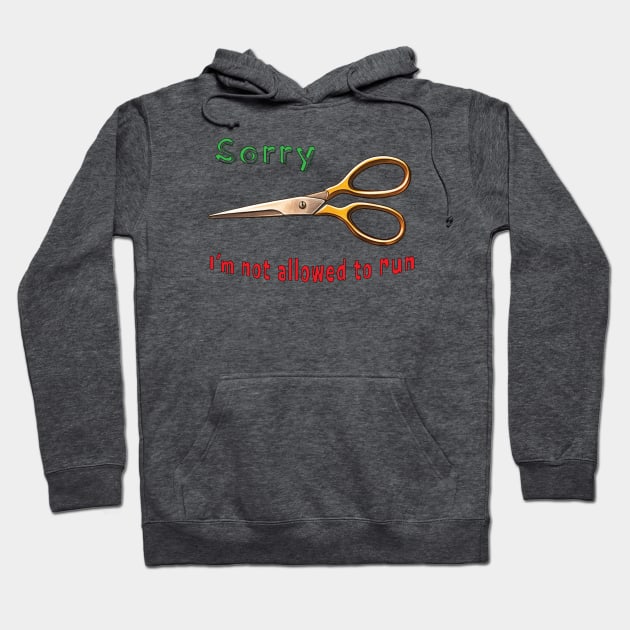 Don't Run With Scissors Hoodie by MythicLegendsDigital